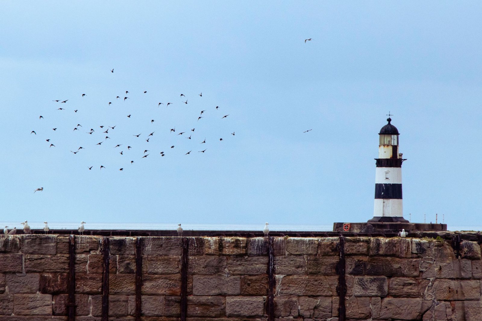 Seaham harbour lighthouse on the North Sea coast